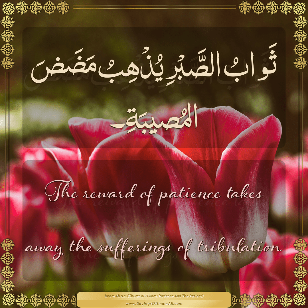 The reward of patience takes away the sufferings of tribulation.
